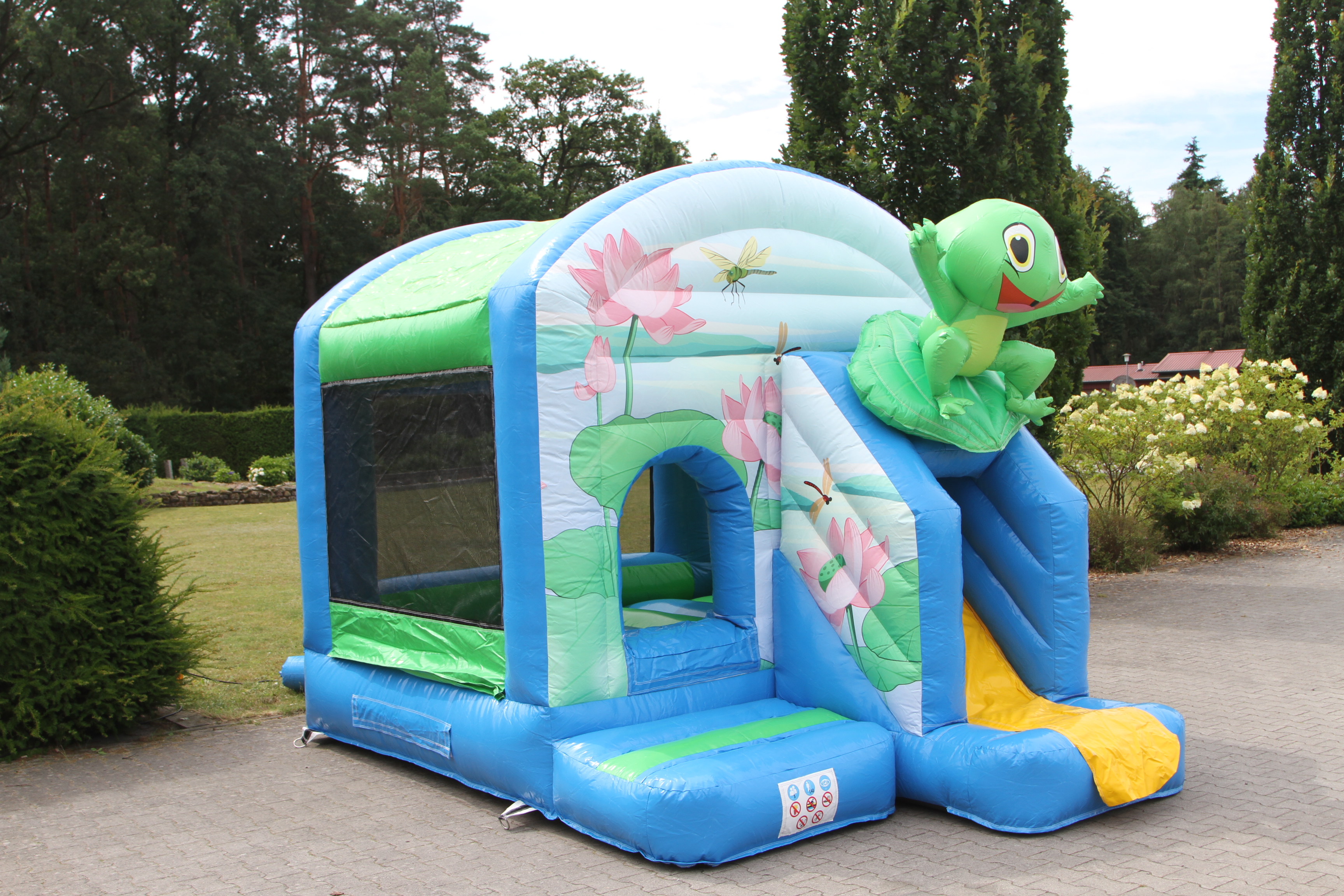 Springkussen kikker - 3,9x2,8 m 