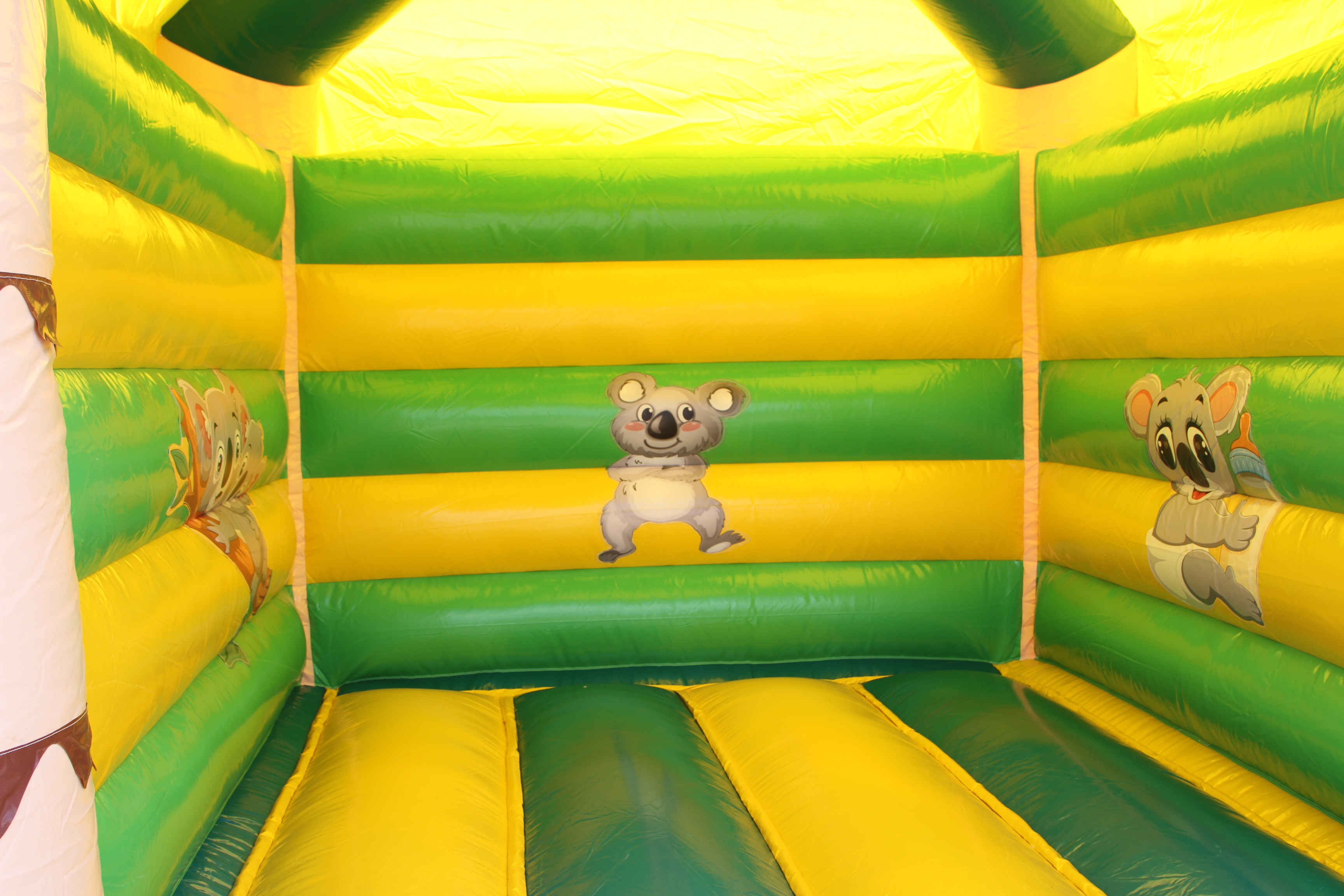 Springkussen Koala met dak - 5x4m 