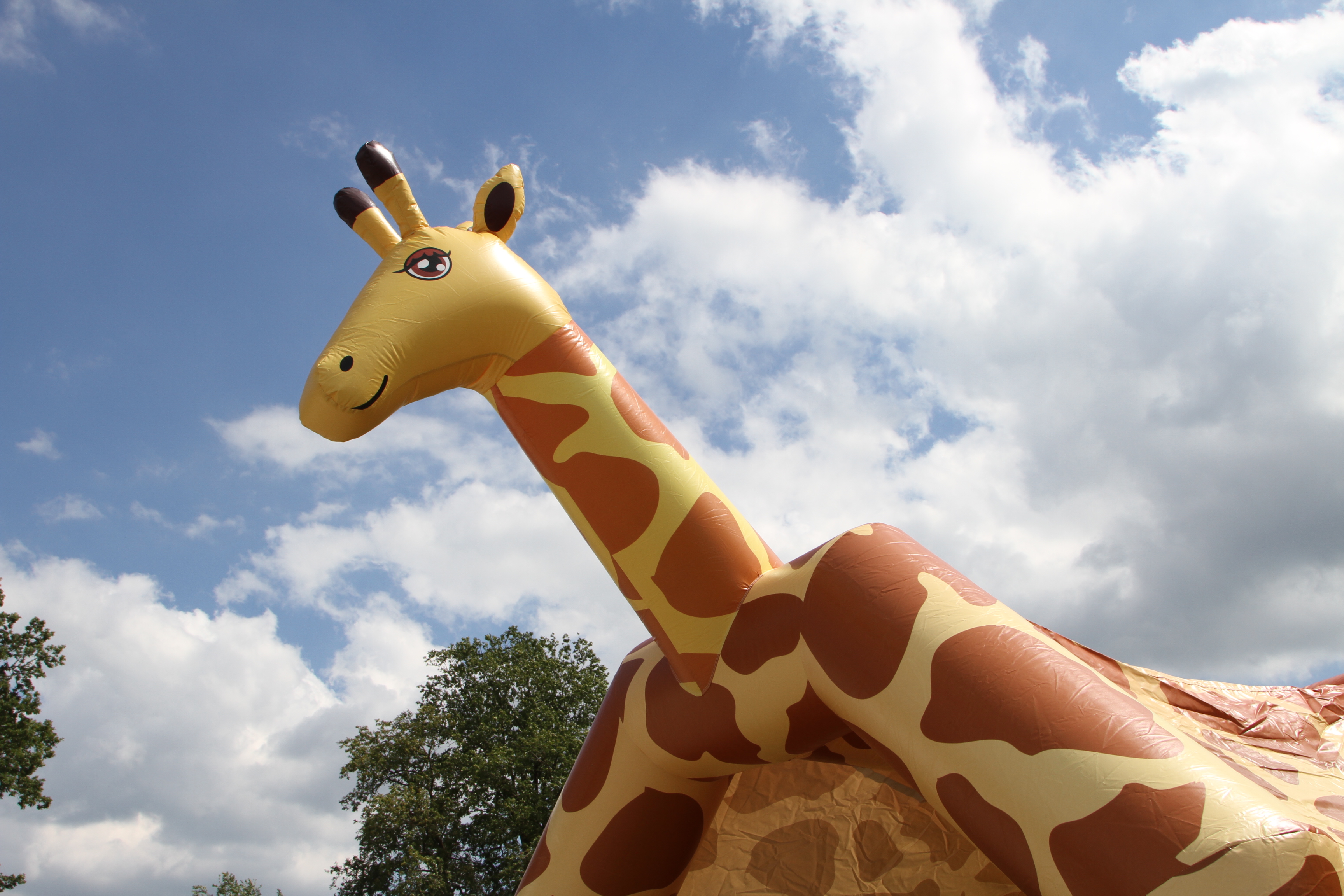 Springkussen 4,5x4 m - giraffe 